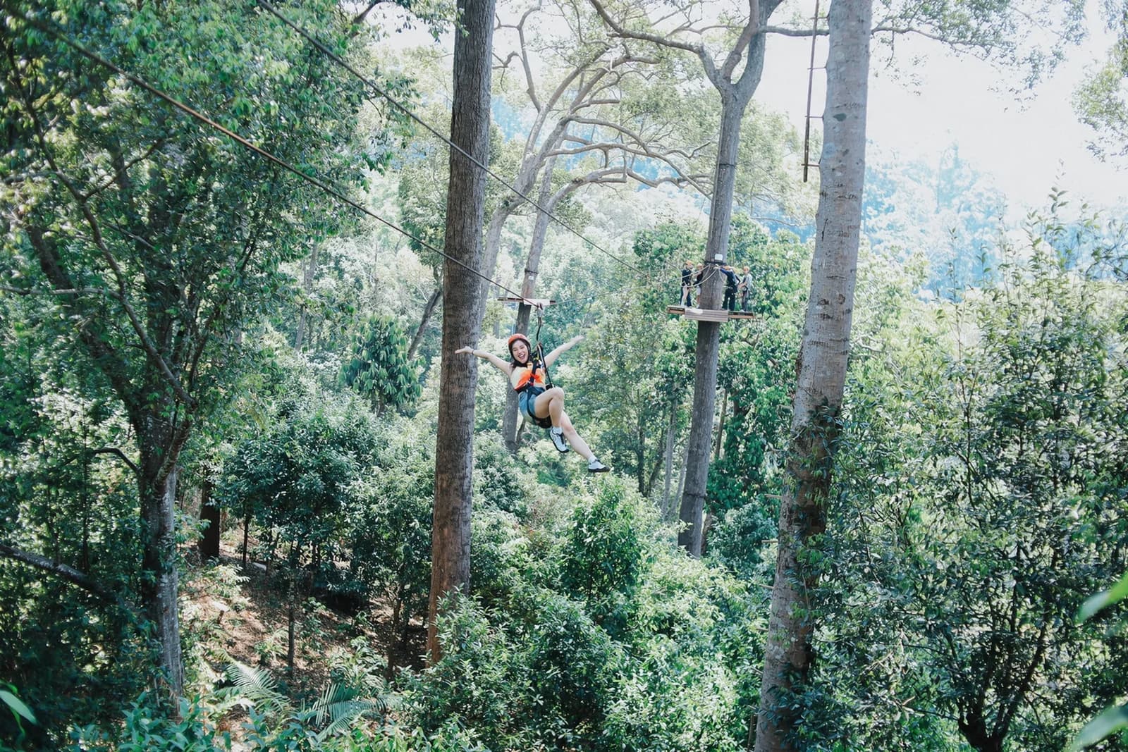 Wide view of a zipline crossing between trees and timber platforms